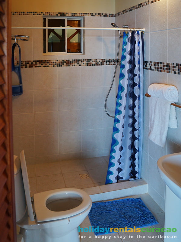 Badezimmer mit Dusche und Waschbecken undToilette