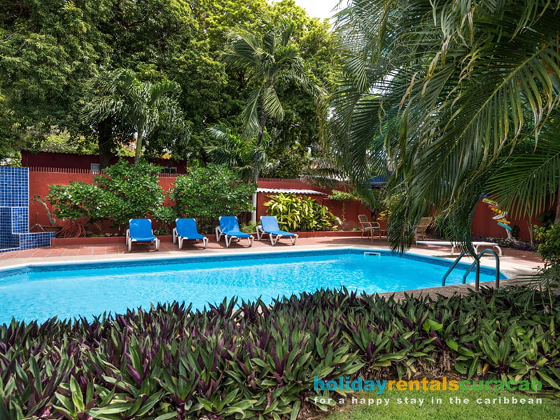 Der gemeinsame Pool im tropischen Garten mit Privatsphare