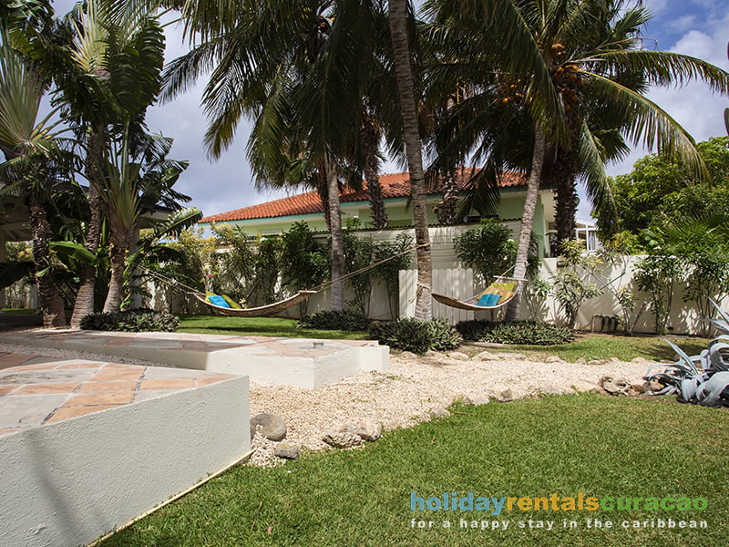 Tropischer Garten mit hohen Palmen.