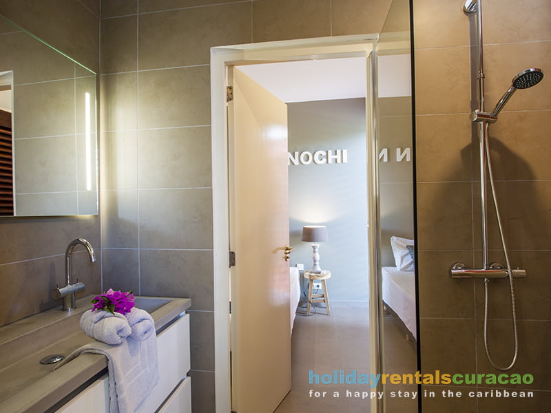 Moderne Badezimmer mit Dusche