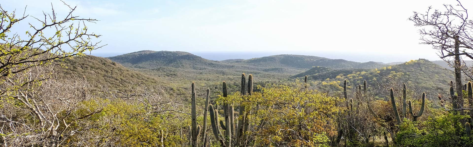 Autoverhuur Curacao