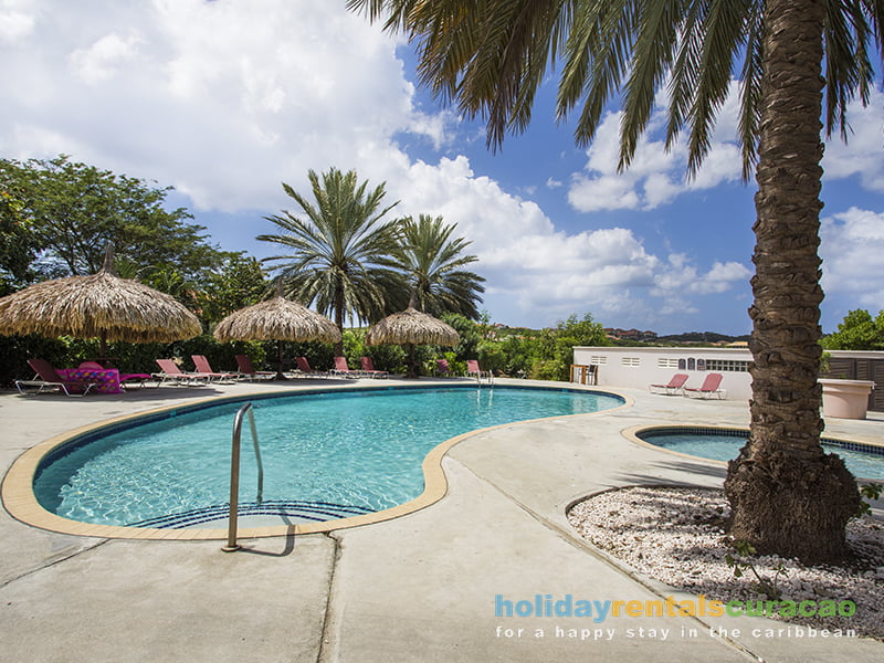 Großer Swimmingpool mit tropischen Palapas und vielen Liegestühlen.