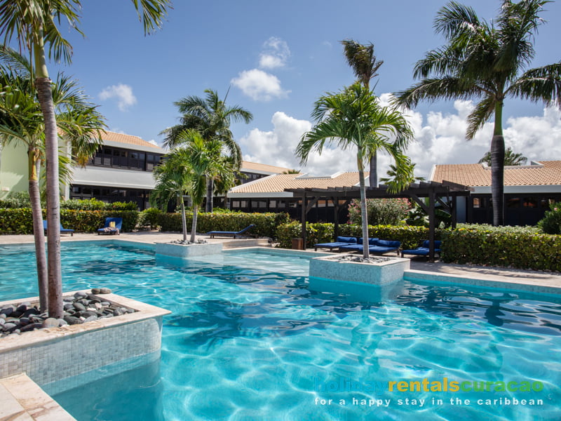 Schwimmbad mit vielen Palmen Curacao